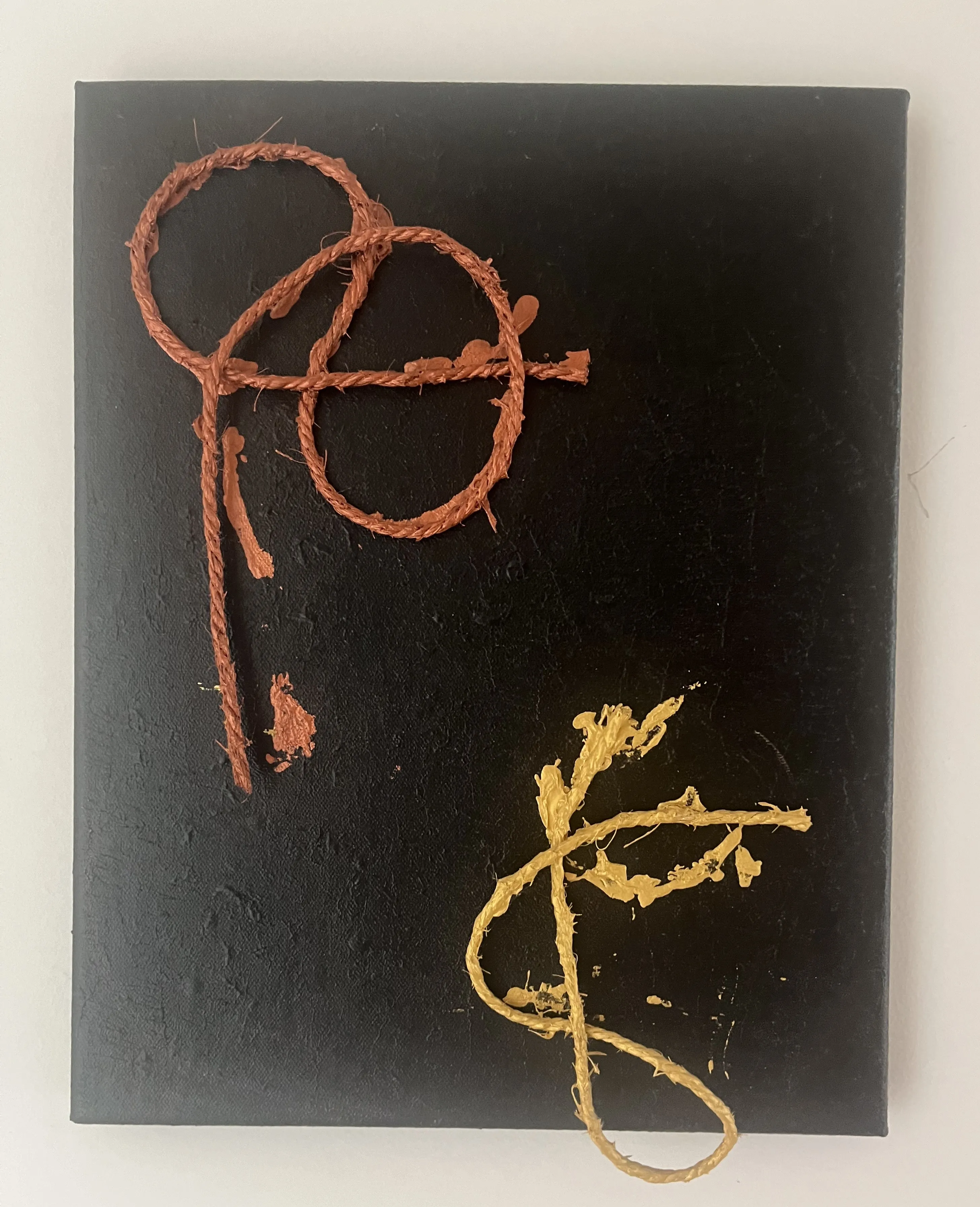 PENIS & VAGINA